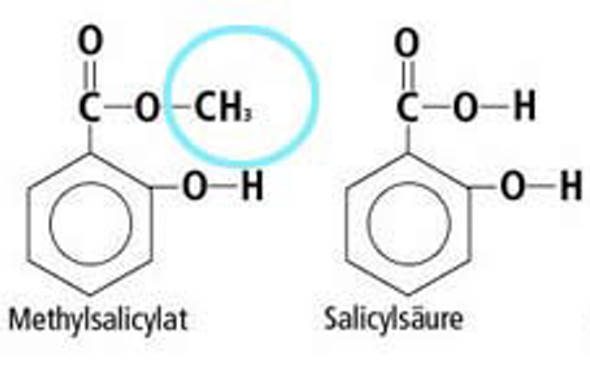 salicylate_xxs