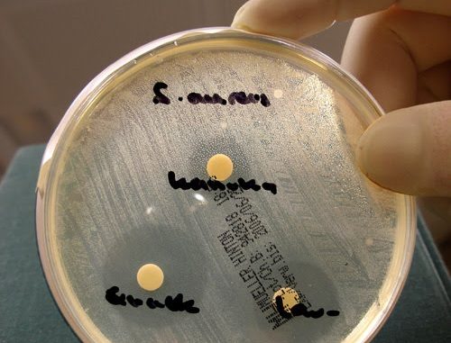 Aromatogramm - reproduzierbarer Nachweis