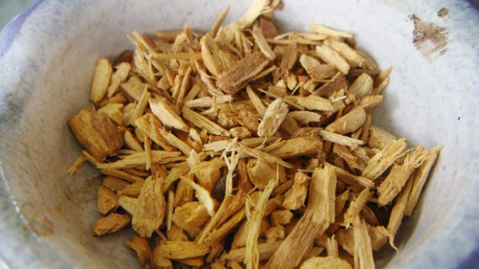 Palo_Santo_Holzstückchen_xs