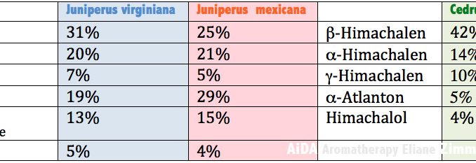 cedar_essential oils_comparison Eliane Zimmermann AiDA Aromatherapy