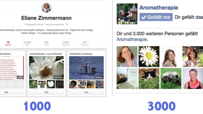 'pinterest_1000_facebook_3000followers Eliane Zimmermann AiDA Schule für Aromatherapie