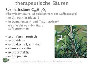 Eliane Zimmermann AiDA Schule für Aromatherapie