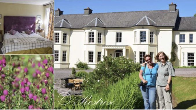 ballylickey_eliane_rostrose