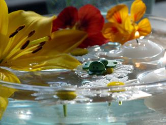 Eliane Zimmermann Schule für Aromatherapie