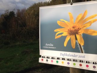 Eliane Zimmermann AiDA Schule für Aromatherapie