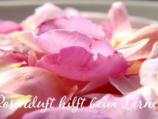 Eliane Zimmermann AiDA Schule für Aromatherapie