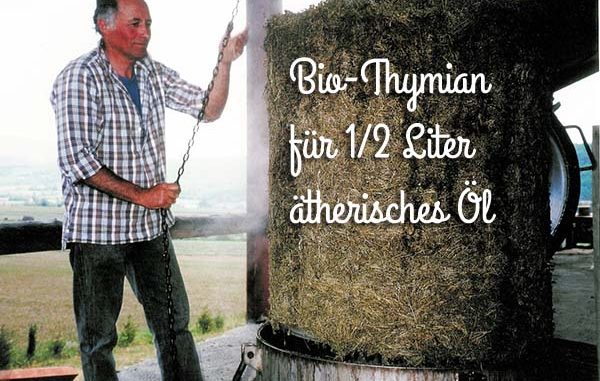 Monsieur_René_Thymian_beschr Eliane Zimmermann AiDA Schule für Aromatherapie
