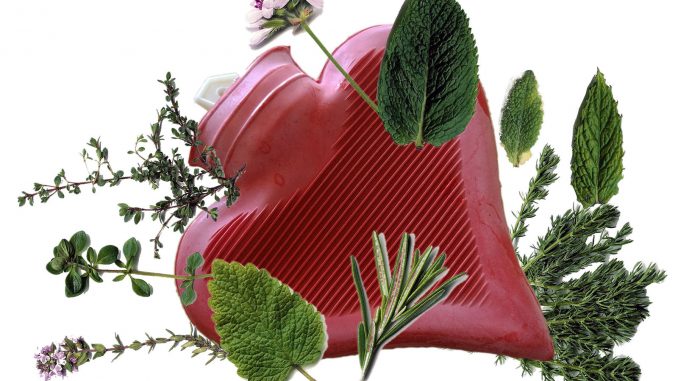 Wärmflasche_Kräuter Eliane Zimmermann Schule für Aromatherapie