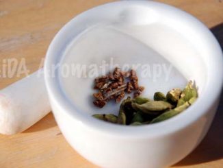 Cardamom - Elettaria cardamomum - Aromatherapie Eliane Zimmermann