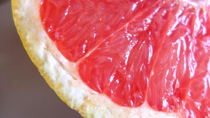 Grapefruit_angeschnitten