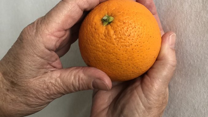 Orange_in_Händen Eliane Zimmermann Schule für Aromatherapie