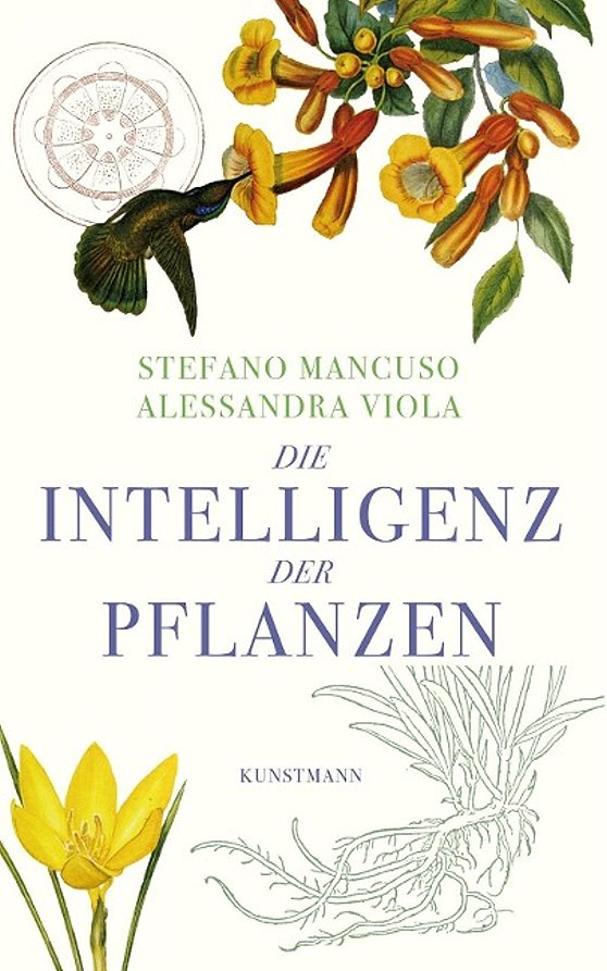 Buch Die Intelligenz der Pflanzen