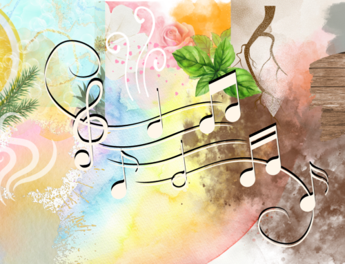 Ätherische Öle und Duftnoten – “Hier spielt die Musik” (nicht!) – von Kopfnoten, Herznoten und Basisnoten